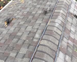 ashphalt-roof-repair ashphalt-roof-repair