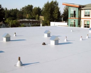 tpo-roofing-systems tpo-roofing-systems